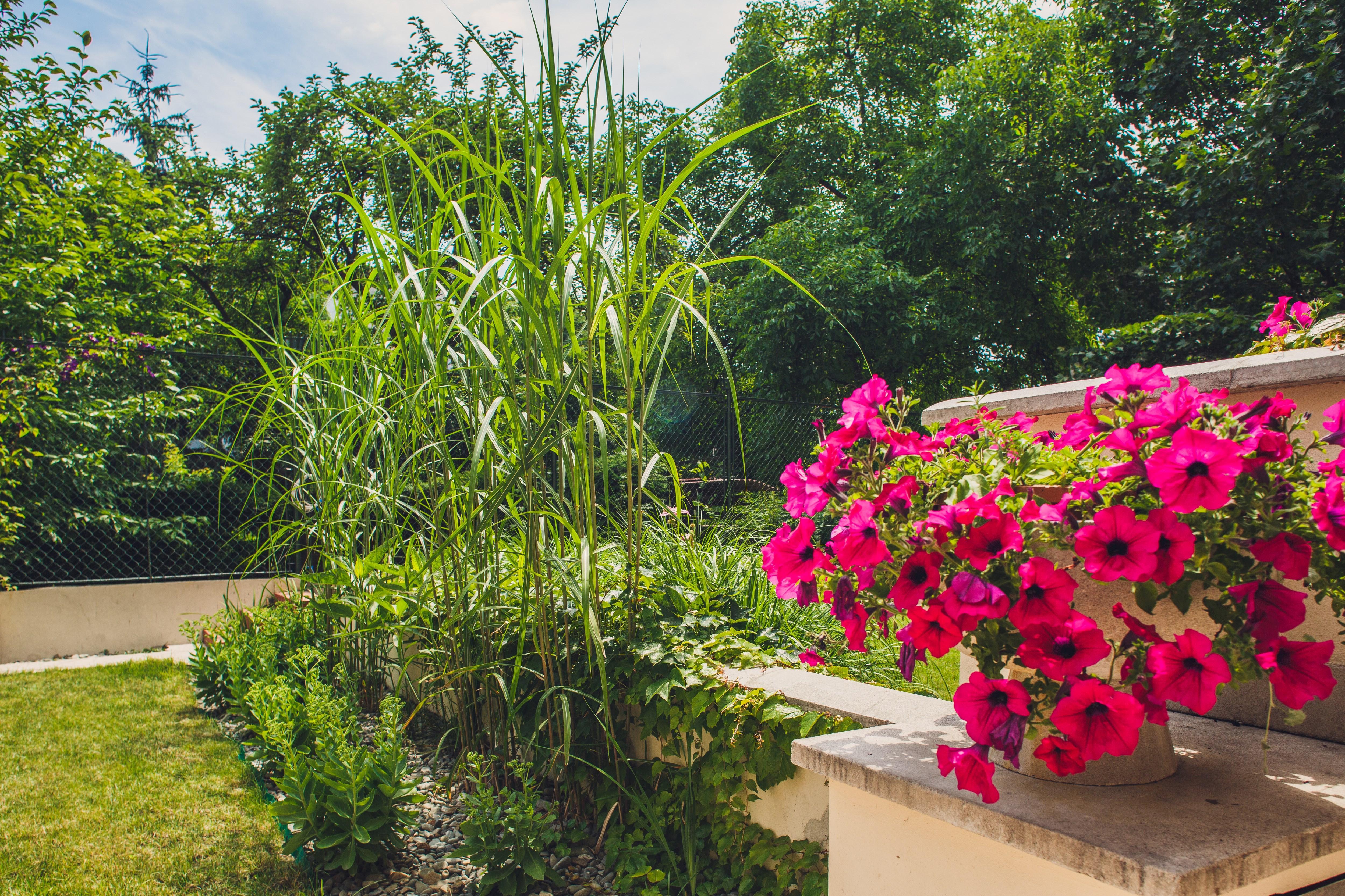 4Seasons﻿ Apartments Cracow Krakow Bagian luar foto
